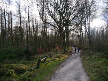 The woods of Swinsty Moor Plantation