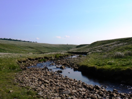 Aglionby Beck