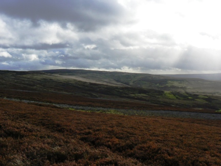 Collier Law from Wilkinson's Cut