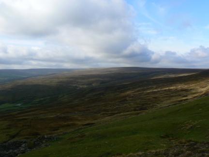 Dry Rigg from Bolt's Law