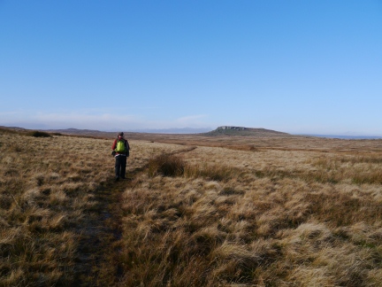 Heading across the moors towards Goldsborough from How Beck Head
