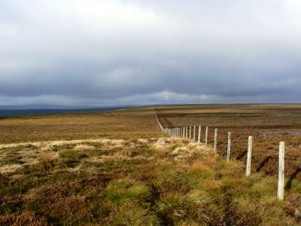 Looking west along the fence from near the top of Dry Rigg