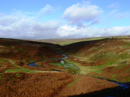 The upper reaches of Stanhope Burn
