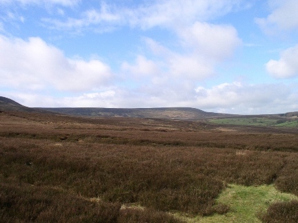 Black Hambleton from Locker Bank