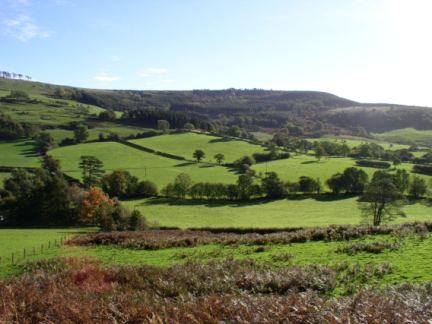 Looking up to Boltby Scar