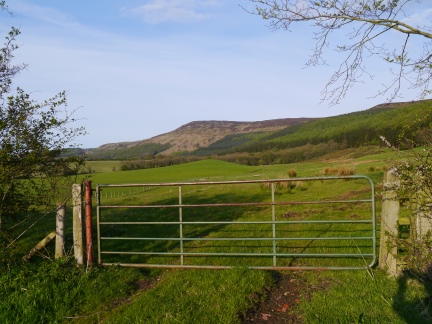 Carlton Bank from Bank Lane