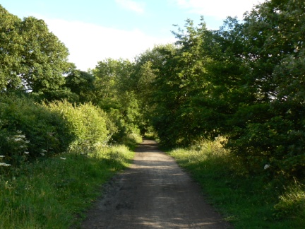 The Cinder Track follows the old Scarborough to Whitby train line