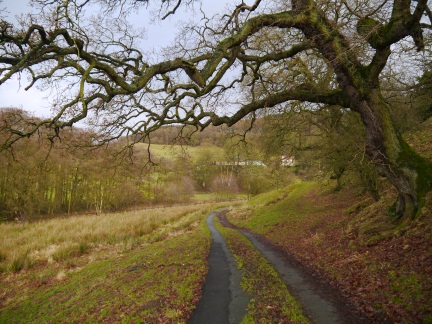 Looking back to the farm at Greendale