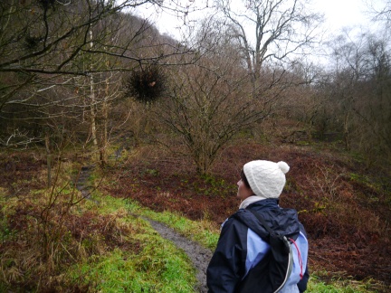 Lisa and a low bird's nest in Garbutt Wood
