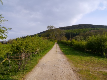 The track heading to Clain Wood