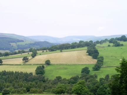A part of upper Bilsdale looking towards Cold Moor