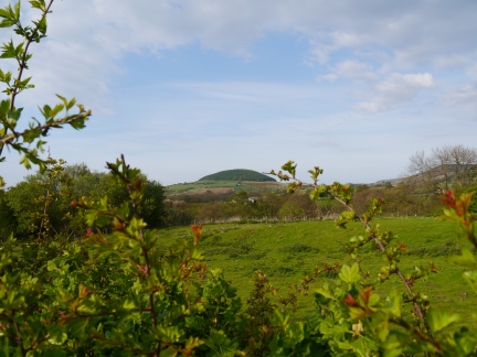 Whorl Hill from below Clain Wood