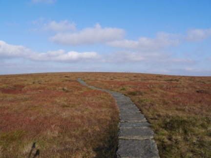 The Pennine Way as it runs over Glead Hill
