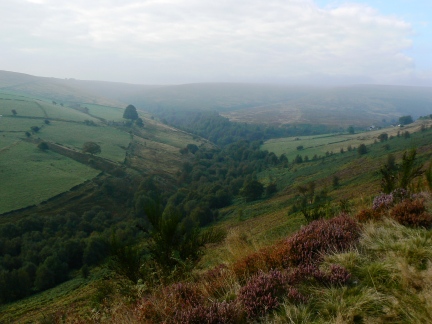 Royd Edge Clough