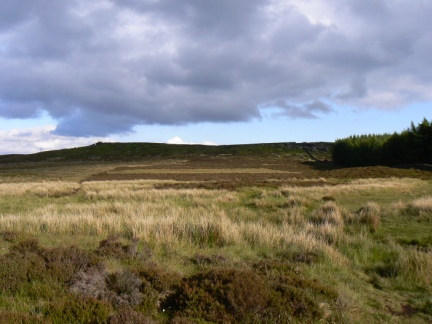 Approaching Buck Stones