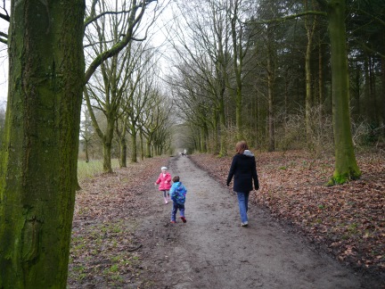 Setting off through the woods on the Chippendale Way