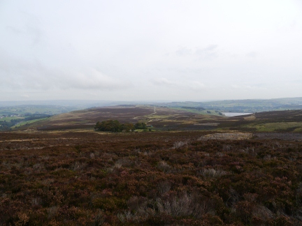 The view of Haworth Moor from above Harbour Lodge