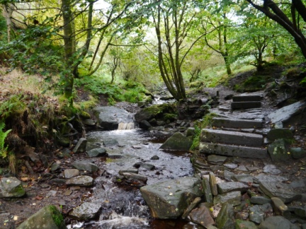 Ogden Clough
