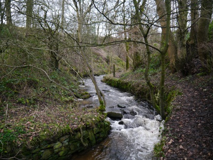 Wentcliff Brook behind the Youth Hostel