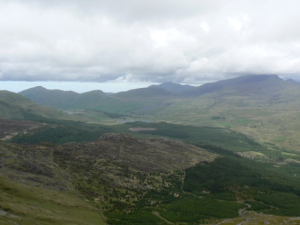 Beddgelert Forest from Moel yr Ogof