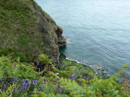 A number of bluebells could be found along the route