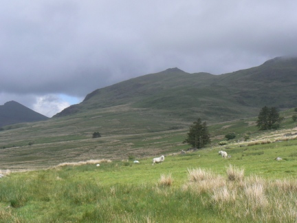 Moel Lefn from Cwm Pennant